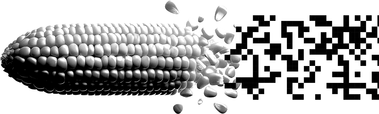 Digital corn